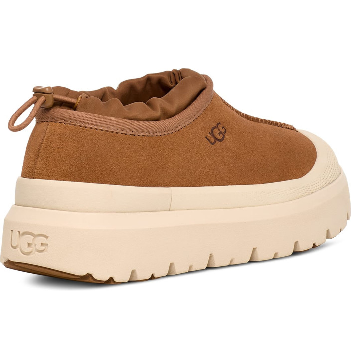 M TASMAN WEATHER HYBRID