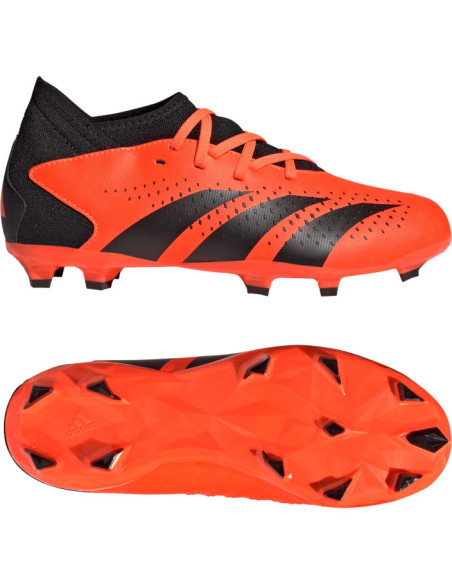 PREDATOR ACCURACY.3 FG J