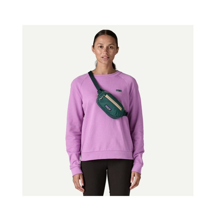 TERRAVIA MINI HIP PACK