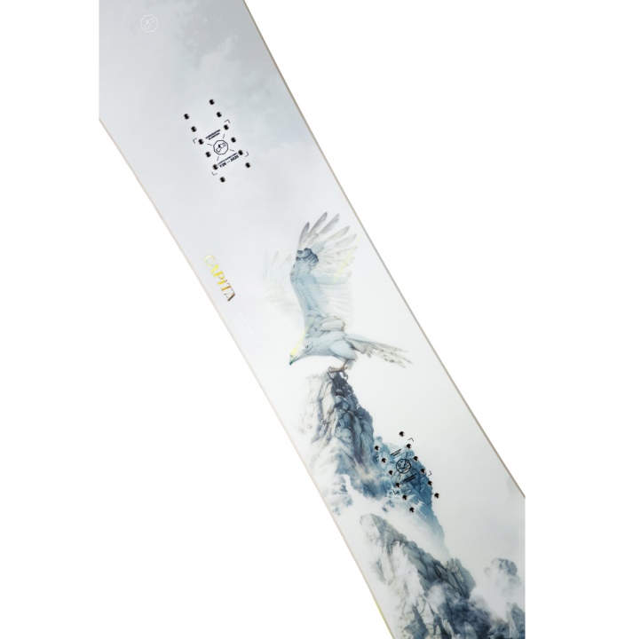 BIRDS OF A FEATHER WIDE