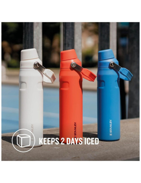 THE AEROLIGHT™ ICEFLOW™ WATER BOTTLE FAST FLOW 0.6L - FROST THE AEROLIGHT™ ICEFLOW™ WATER BOTTLE FAST FLOW 0.6L - FROST