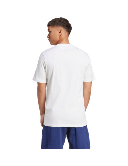 M COLLEGIATE T M COLLEGIATE T