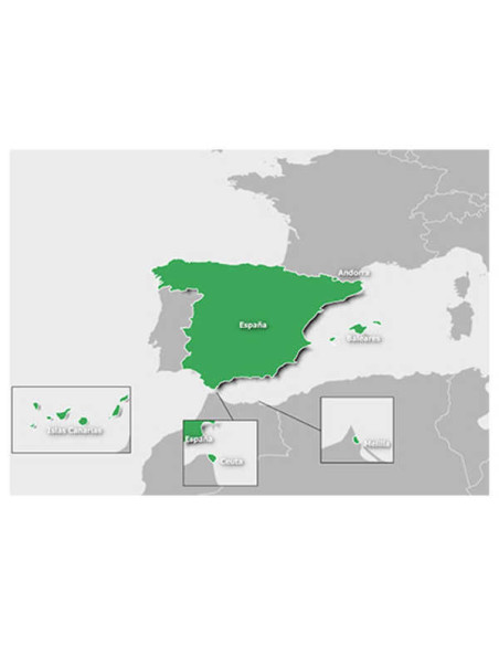 TARJETA MICROSDSD  TOPO ESPANA V6 PRO