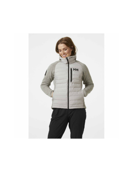 W ARCTIC OCEAN HYBRI