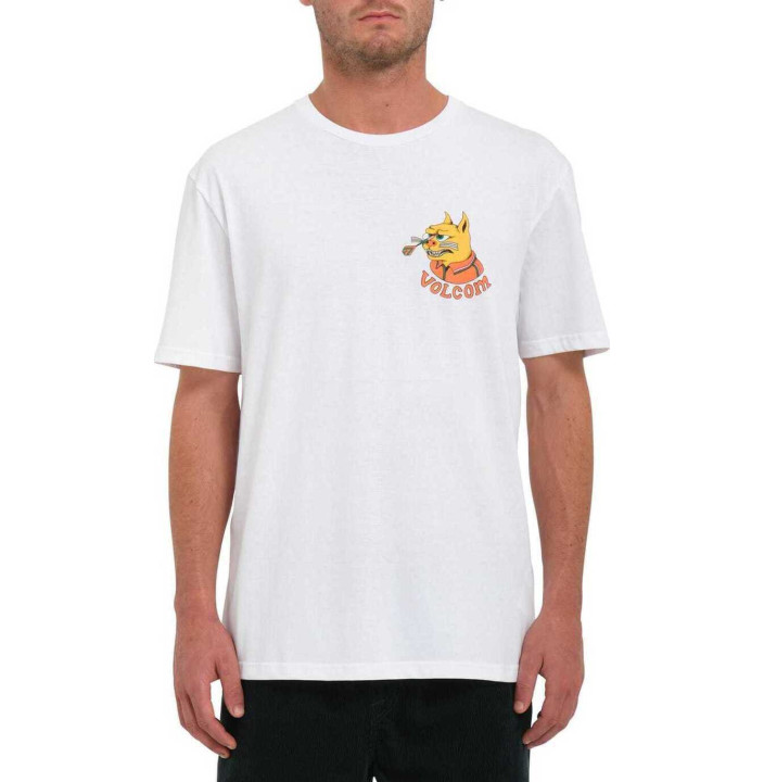 FA NANDO VON ARB SST