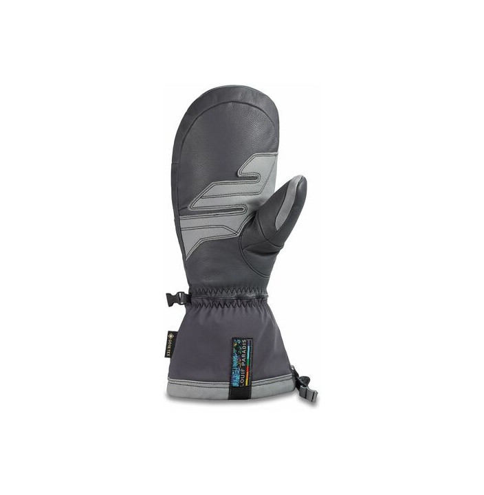 TEAM EXCURSION GORE-TEX MITT