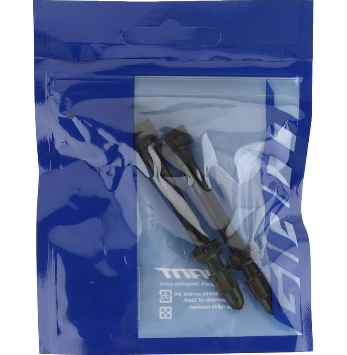 TUBELESS VALVE STEMX2 FOR 42MM HIGH PROFILE RIM