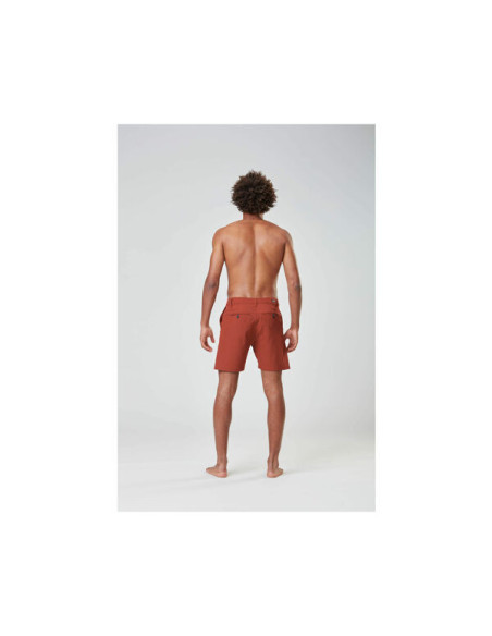 PODAR HYBRID 19 BRDS