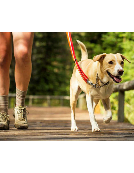 CHAIN REACTION COLLAR