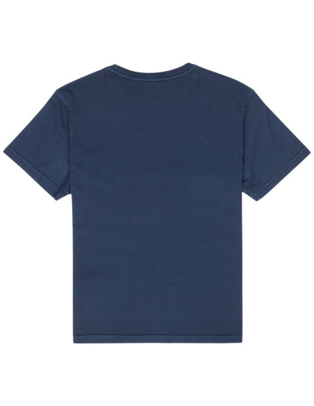 BASIC POCKET PIGMENT