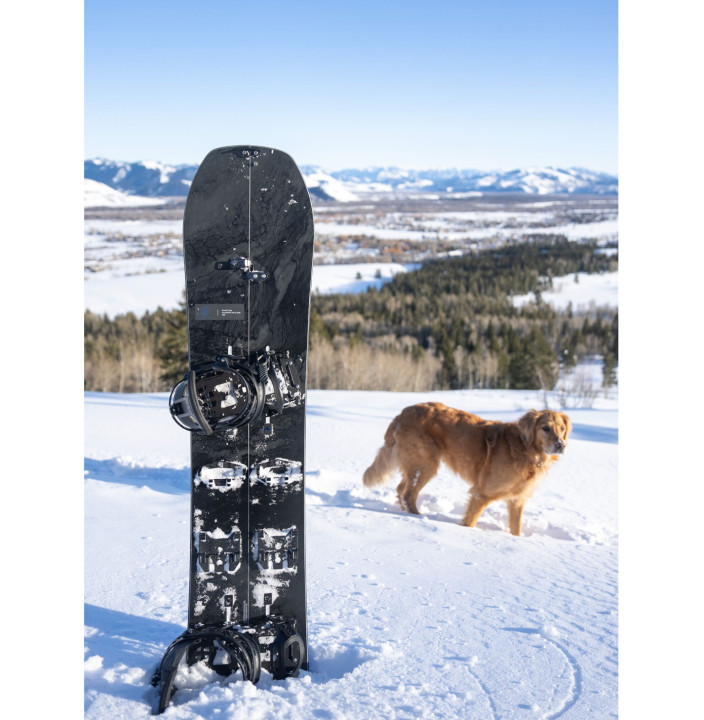 FAMILY TREE HOMETOWN HERO SPLITBOARD