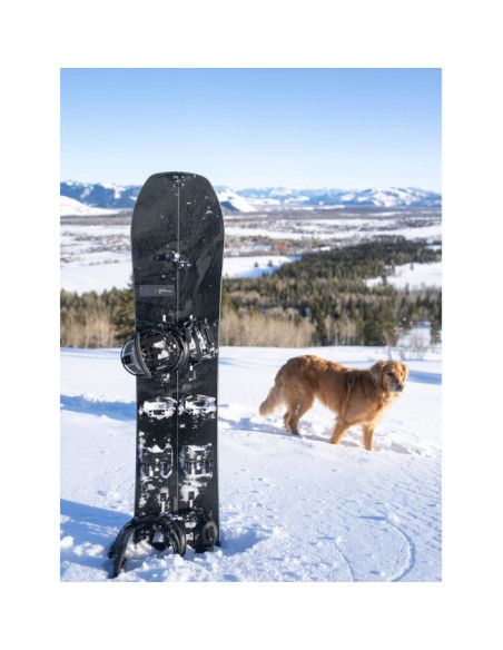 FAMILY TREE HOMETOWN HERO SPLITBOARD