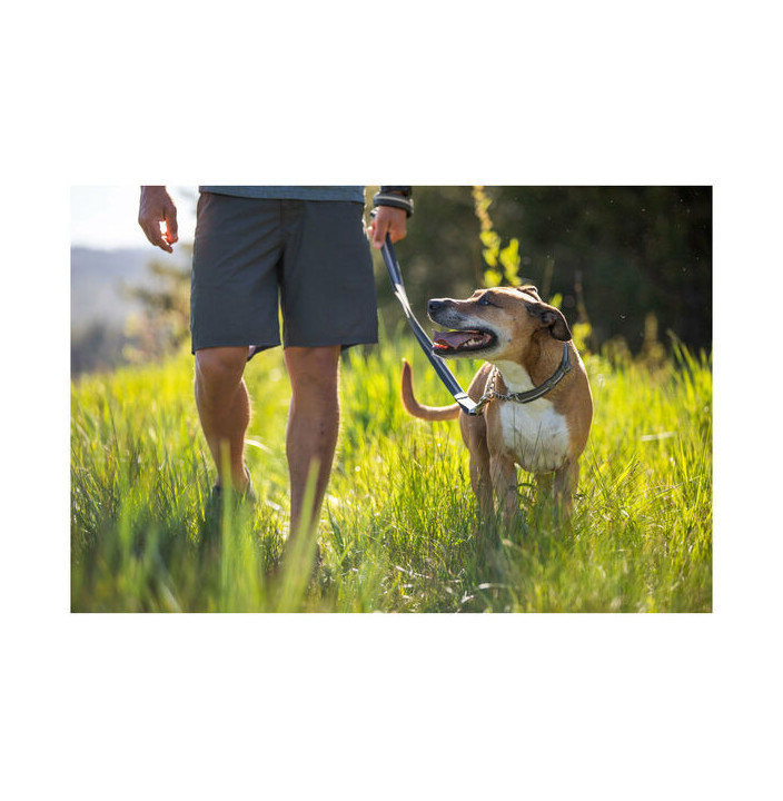 CHAIN REACTION COLLAR 2