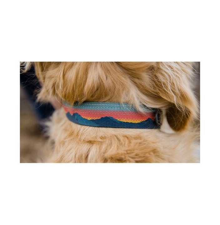 CHAIN REACTION COLLAR 2