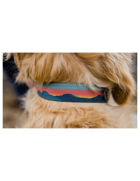 CHAIN REACTION COLLAR 2