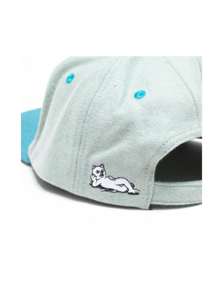 TEAM SPIRIT 6 PANEL HAT