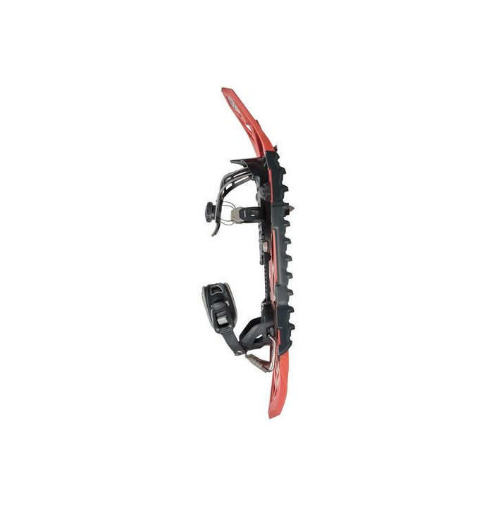 HIGHLANDER ORIGINAL 2