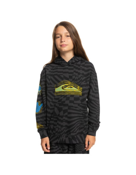 RADICAL TIMES HOOD YOUTH