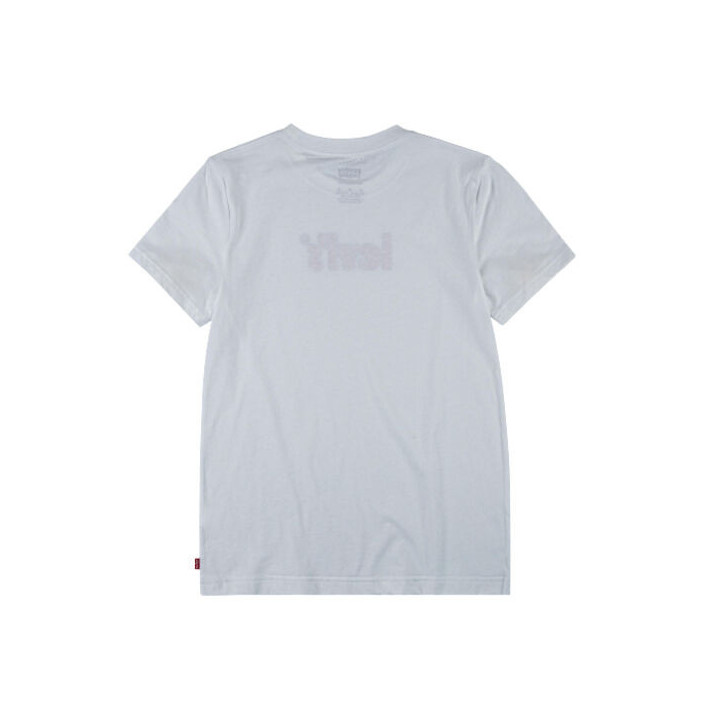 LVB SHORT SLEEVE GRAPHIC TEE SHIRT