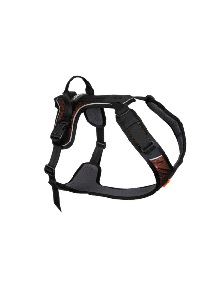 ROCK HARNESS