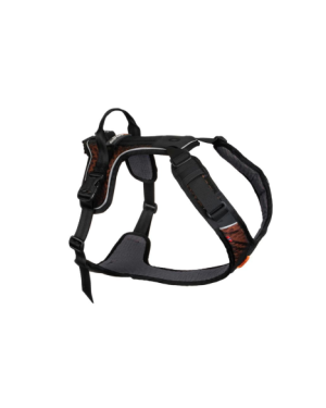ROCK HARNESS
