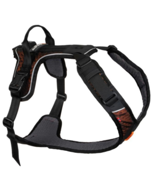 ROCK HARNESS
