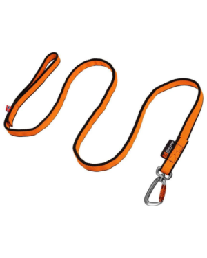 BUNGEE LEASH
