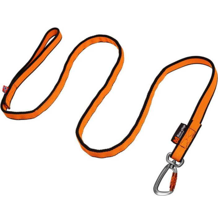 BUNGEE LEASH