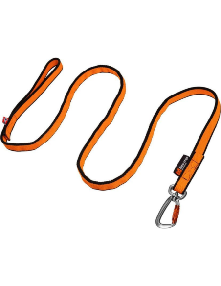 BUNGEE LEASH