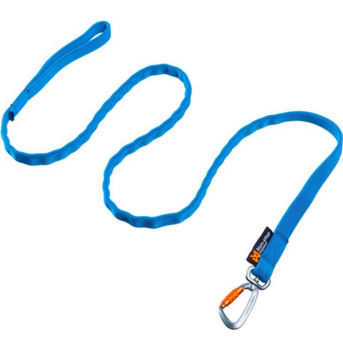 BUNGEE LEASH