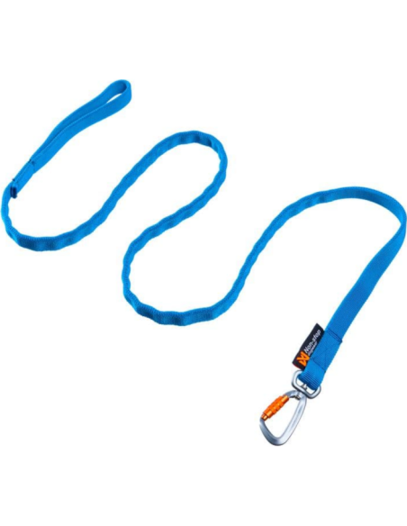BUNGEE LEASH