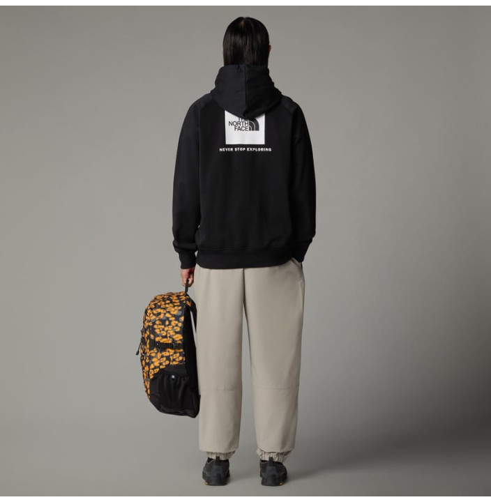 M RAGLAN BOX NSE REGULAR HOODIE