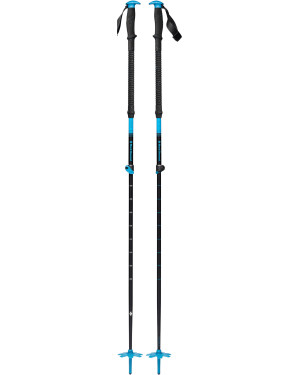 EXPEDITION SKI POLES