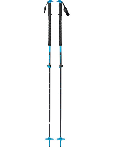 EXPEDITION SKI POLES