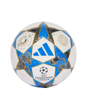 UCL MINI