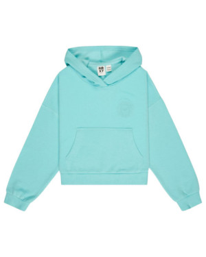 SURFING BY DAYLIGHT HOODIE RG