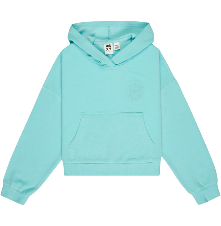 SURFING BY DAYLIGHT HOODIE RG