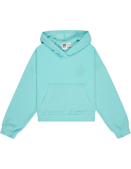 SURFING BY DAYLIGHT HOODIE RG