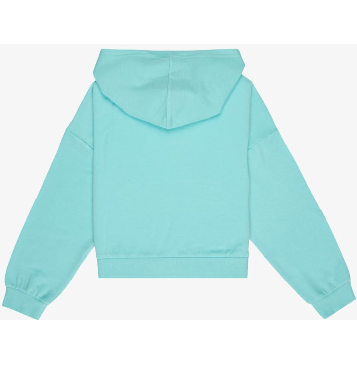 SURFING BY DAYLIGHT HOODIE RG