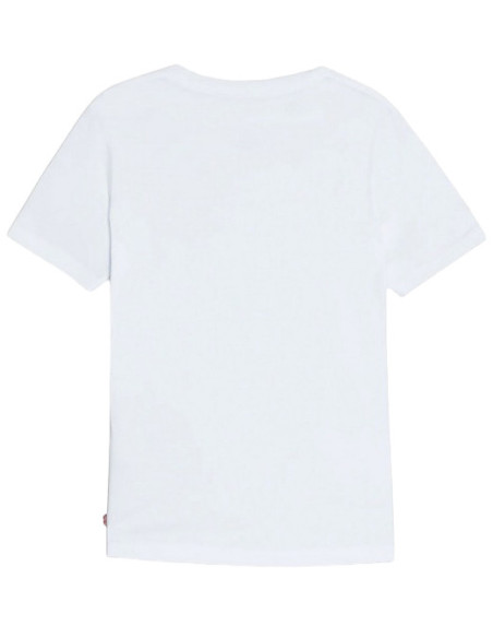 LVB-BATWING CHEST HIT