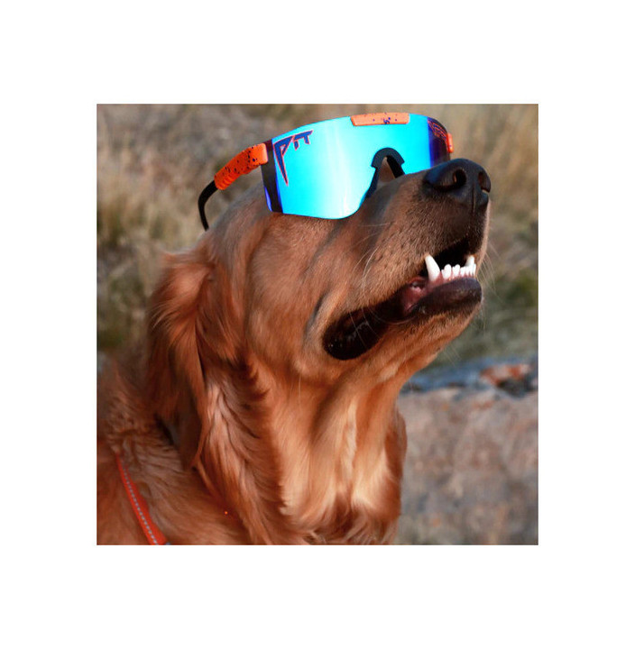 THE ORIGINAL SINGLE WIDE POLARIZED