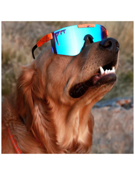 THE ORIGINAL SINGLE WIDE POLARIZED