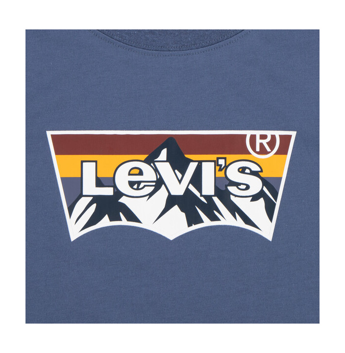 LVB MOUNTAIN BATWING TEE