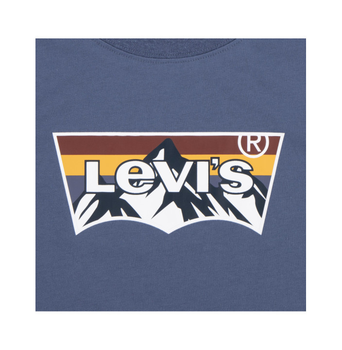 LVB MOUNTAIN BATWING TEE