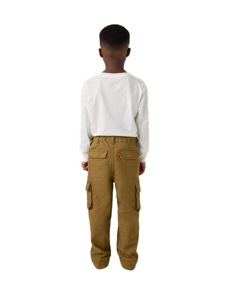 LVB TRADITIONAL CARGO