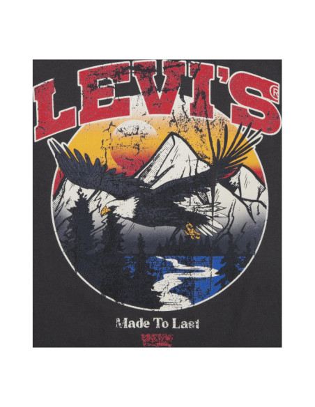 LVB SOAR LIKE AN EAGLE TEE