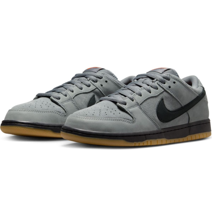 NIKE SB DUNK LOW PRO