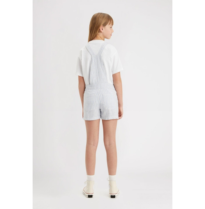 LVG UTILITY STRIPE SHORTALL