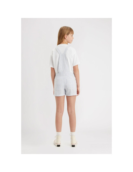 LVG UTILITY STRIPE SHORTALL