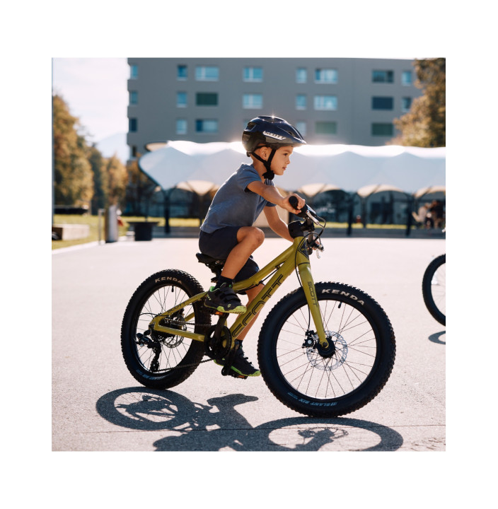 BICICLETA ROXTER 20 GREEN